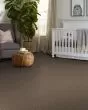 Confidence III Worn Path Carpet