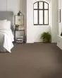 Confidence III Worn Path Carpet