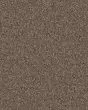 Confidence III Worn Path Carpet