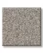 Positively Radiant III Chic Greige Carpet