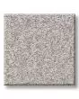 Positively Radiant I Textured 43oz Carpet