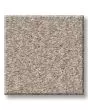 You Got This I Subtle Clay Carpet