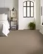Positively Radiant I Worn Path Carpet