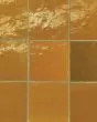 Zagora Caramel Glossy Glazed Ceramic 4x4" Field Tile