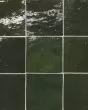 Zagora Vert Mousse Glossy Glazed Ceramic 4x4" Field Tile
