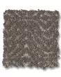Delight Patterned 51oz Pet Friendly Carpet