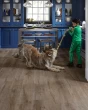 Adura Flex Plank Aspen Lodge Luxury Vinyl