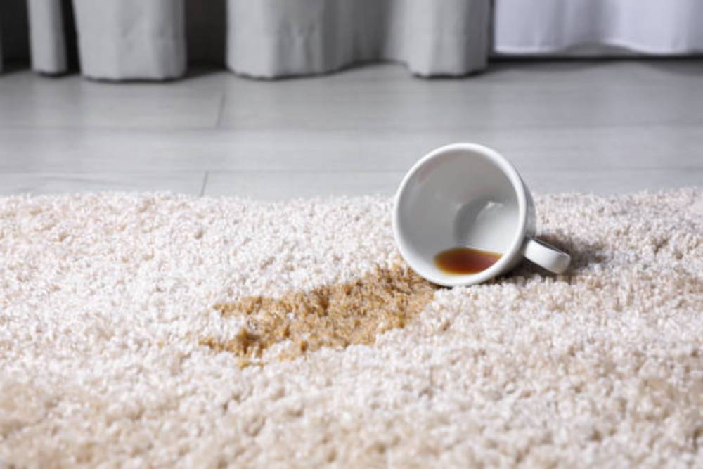 Getting Rid of Carpet Odors