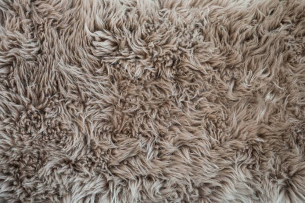 Textured Carpet