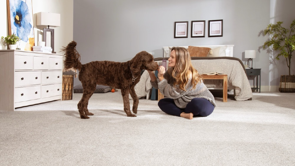 Final Thoughts Carpet Trends