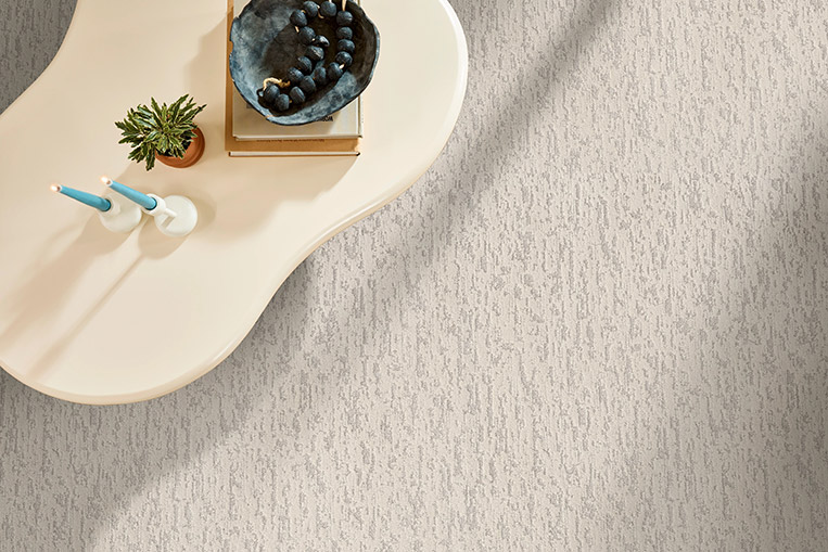 Living Room Carpet Scene
