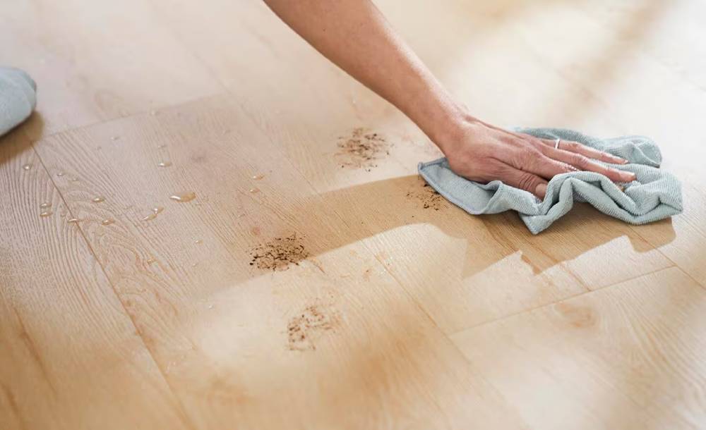 Daily Cleaning Routine for Vinyl Plank Floors