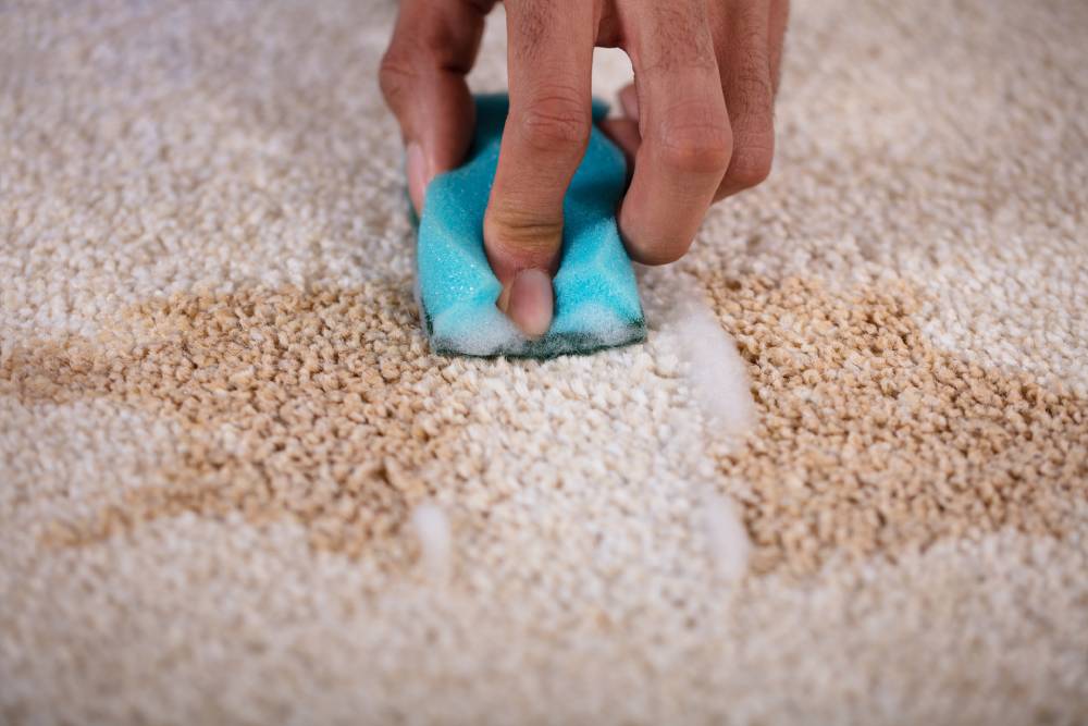Spot Clean Stains the Right Way 2