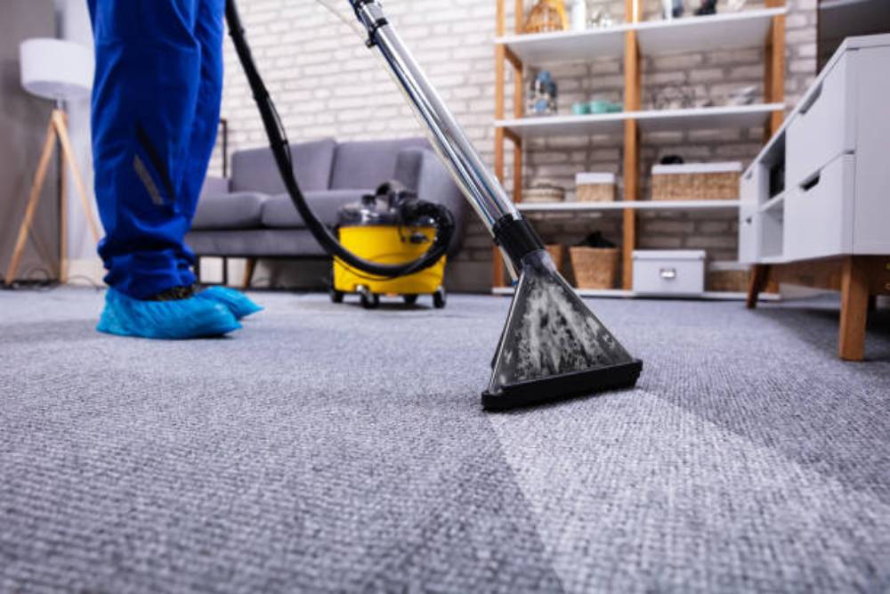 Carpet Cleaning and Care