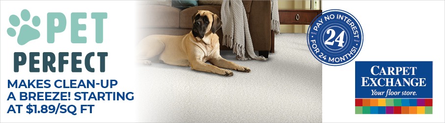 Pet Perfect Carpet