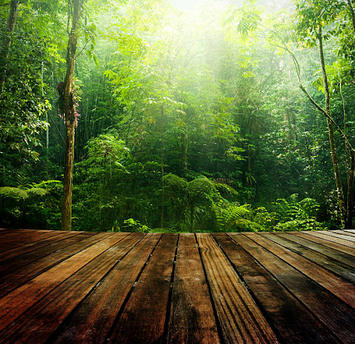 The Ultimate Guide to Sustainable Flooring