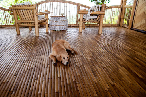 Buyer's guide for sustainable flooring in 2026
