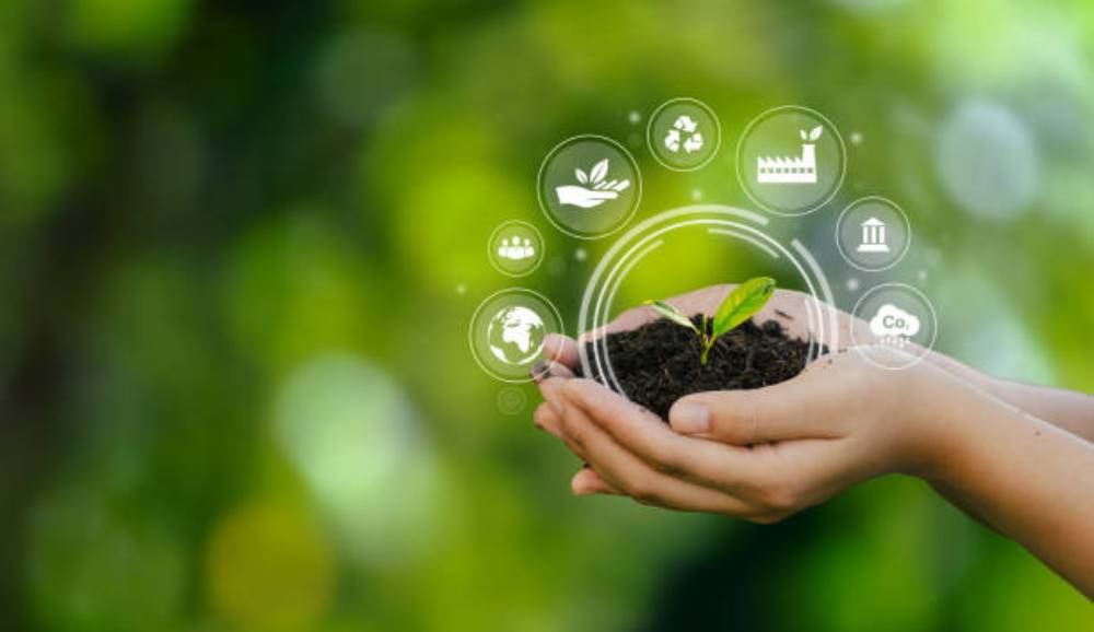Long-Term Value & Environmental Impact