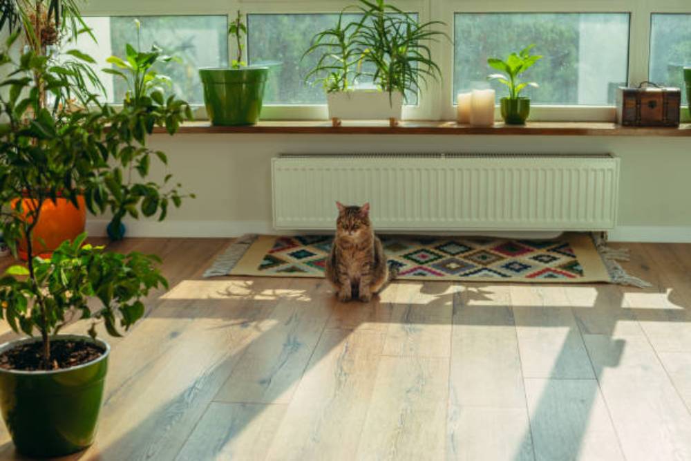 Sustainability of Linoleum Flooring
