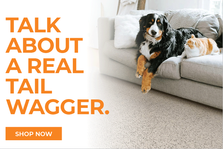 Current Flooring Specials