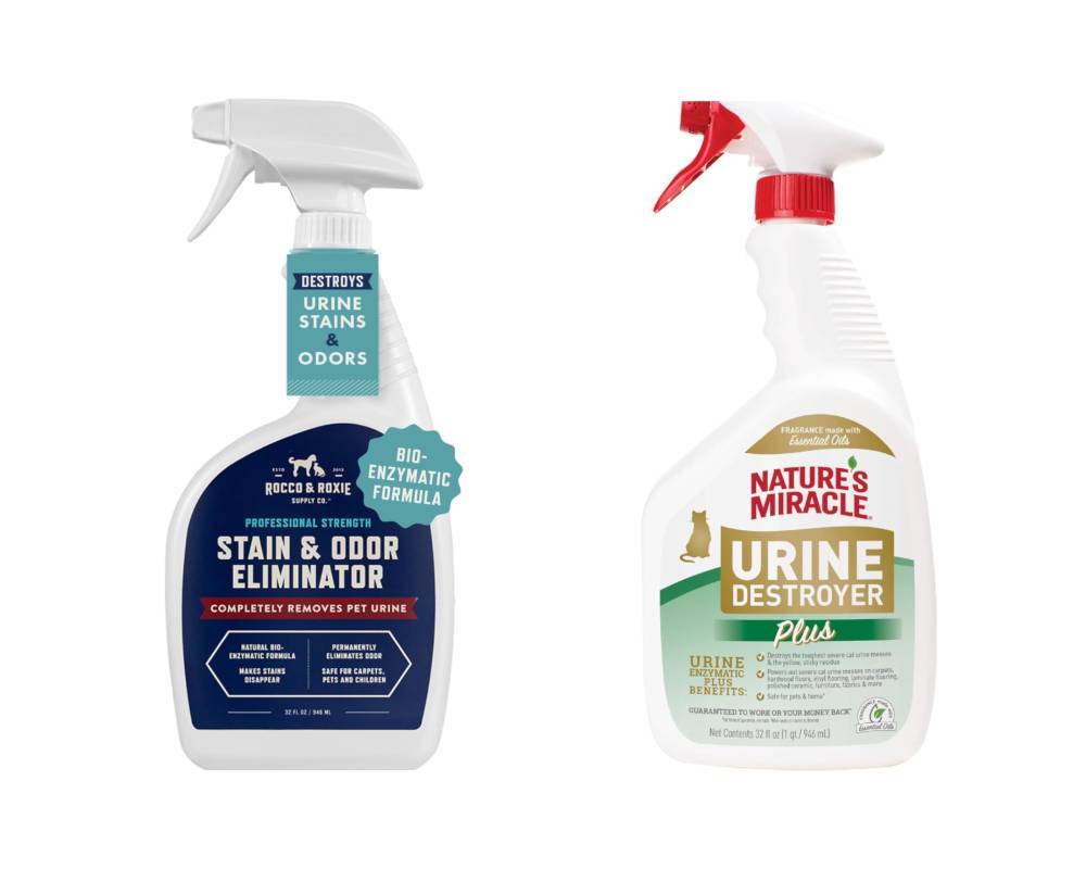 Enzyme Cleaners for Pet Stains
