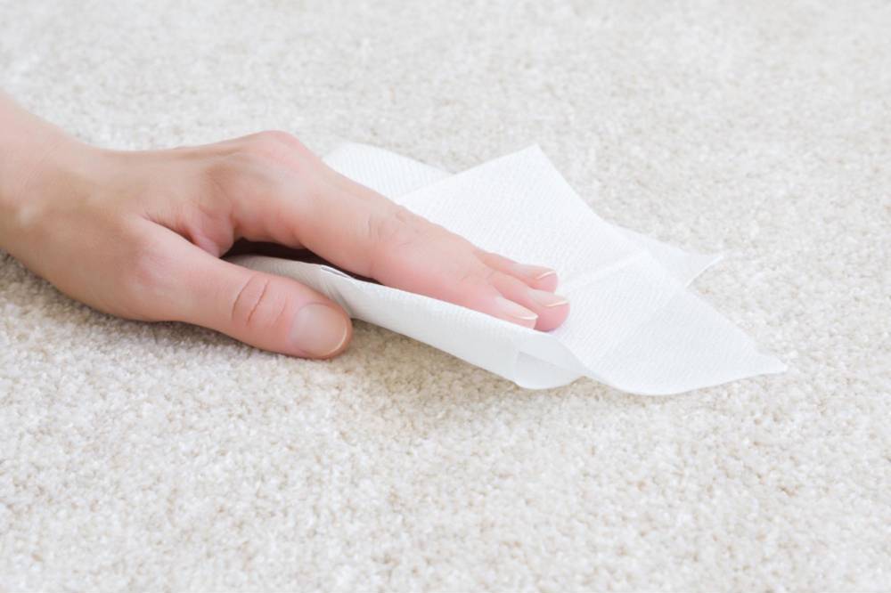 Blot the Stain, Don’t Rub It