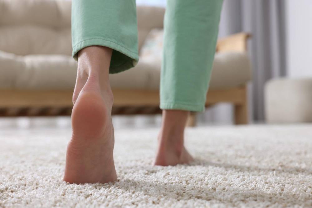 What is the softest carpet you can buy