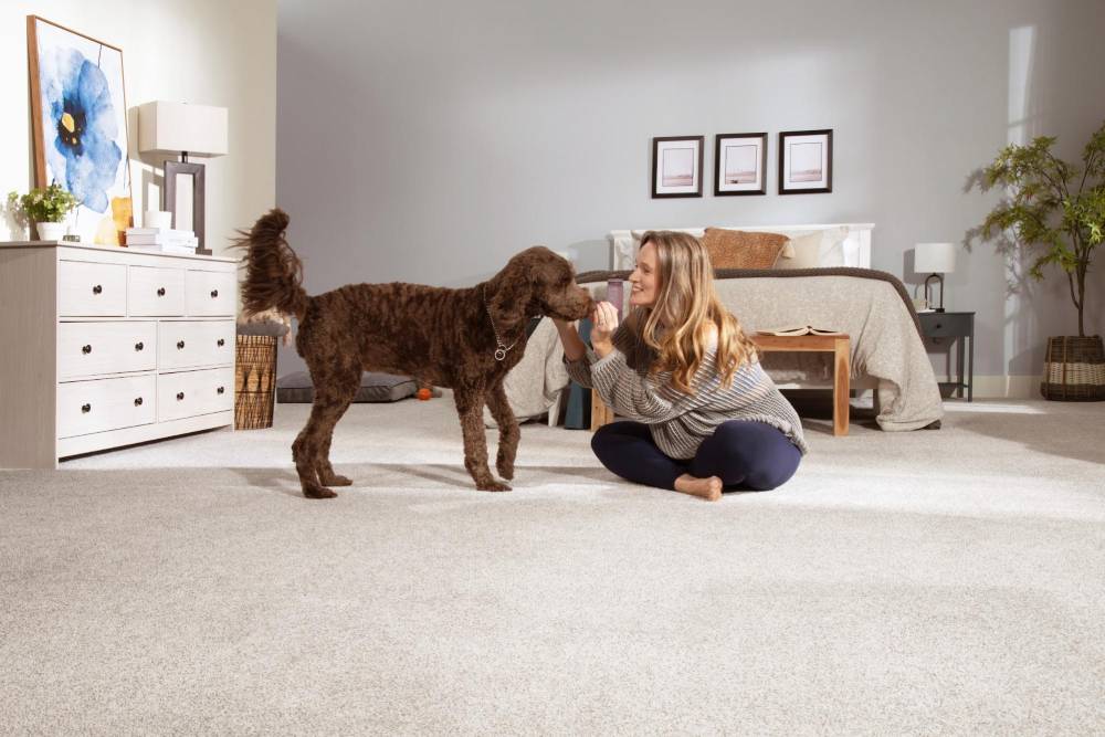 Plush Carpet (Saxony)