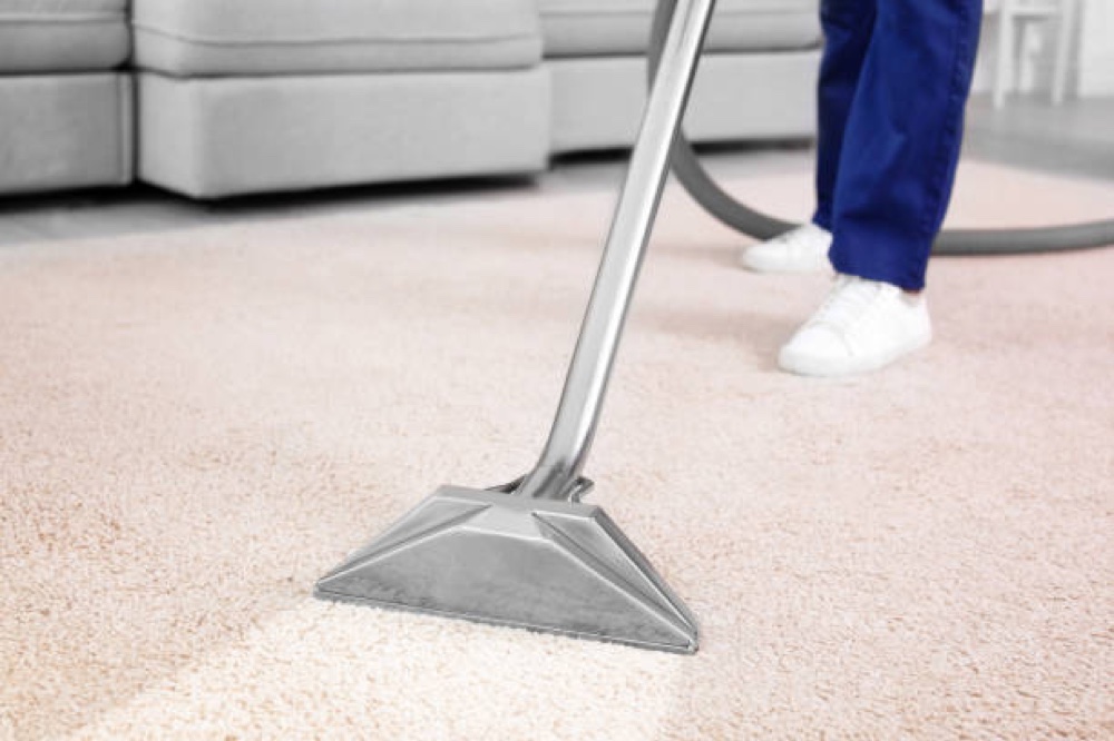Longevity and Maintenance of Sustainable Carpets