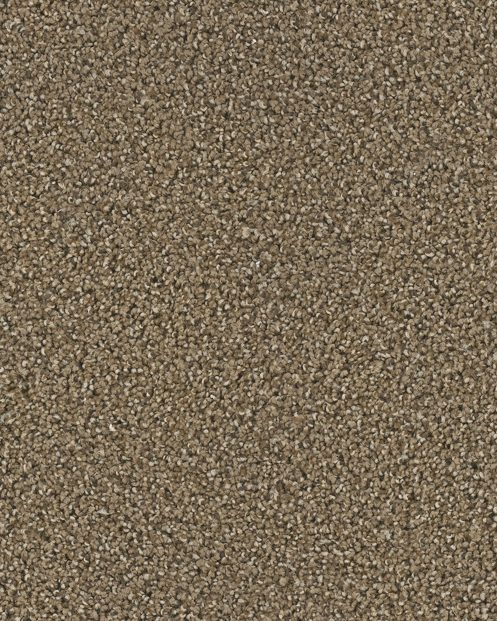 Dream Weaver 3225 Apple Orchard | Carpet Exchange