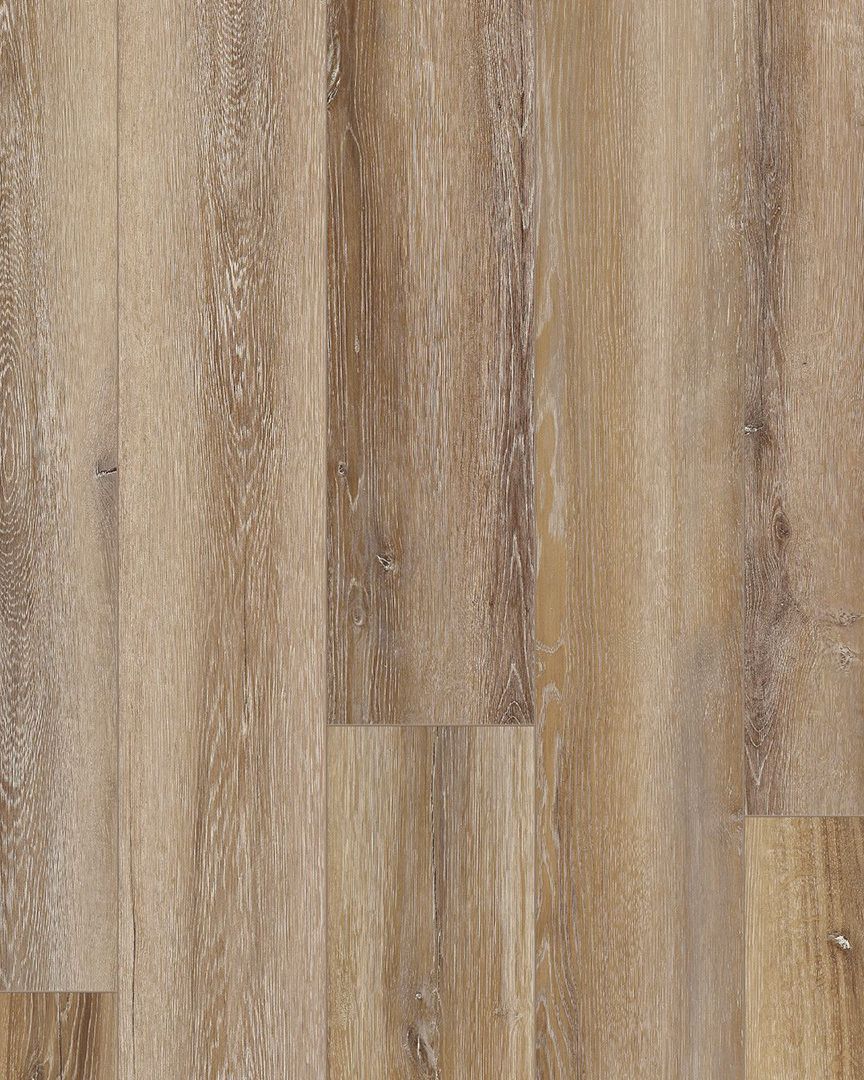 Coretec Plus Premium 9 Alford Oak Luxury Vinyl Carpet Exchange