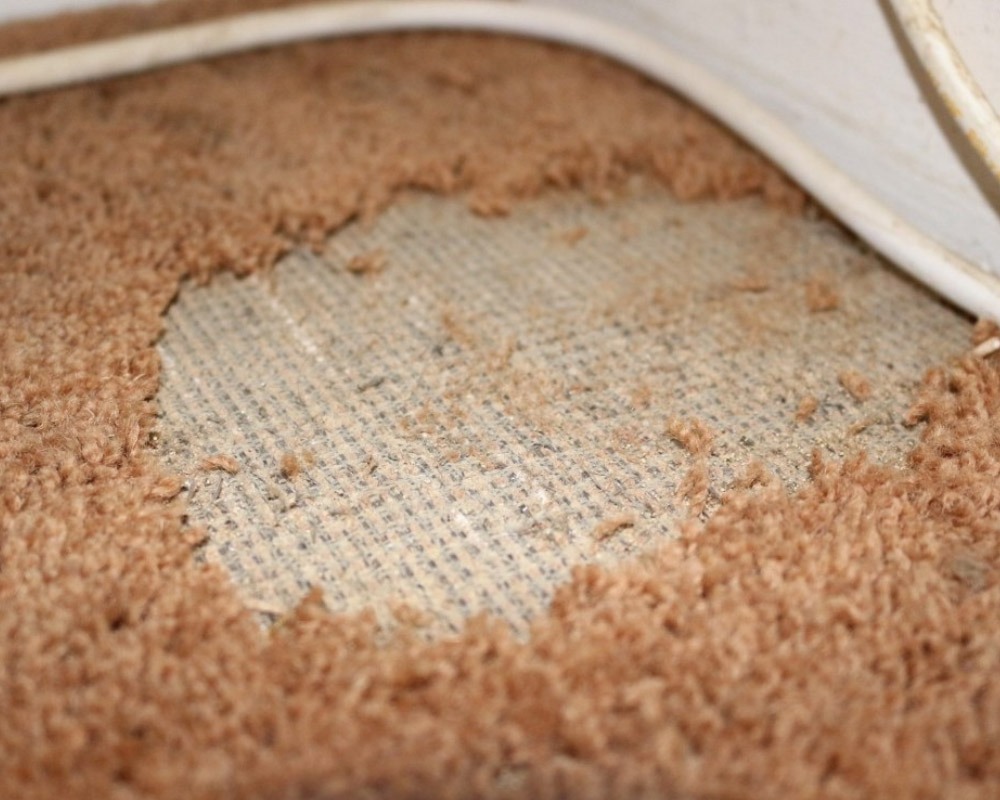 How long does carpet last