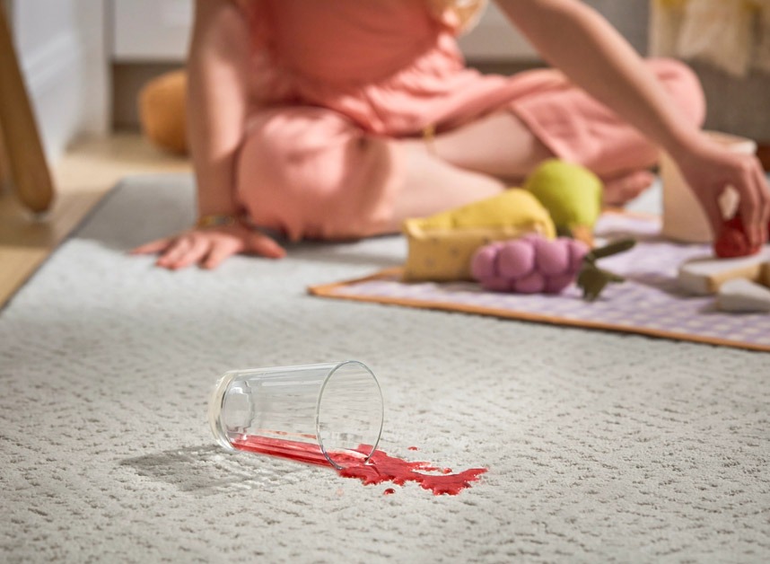 Pet Carpet Fiber Protection