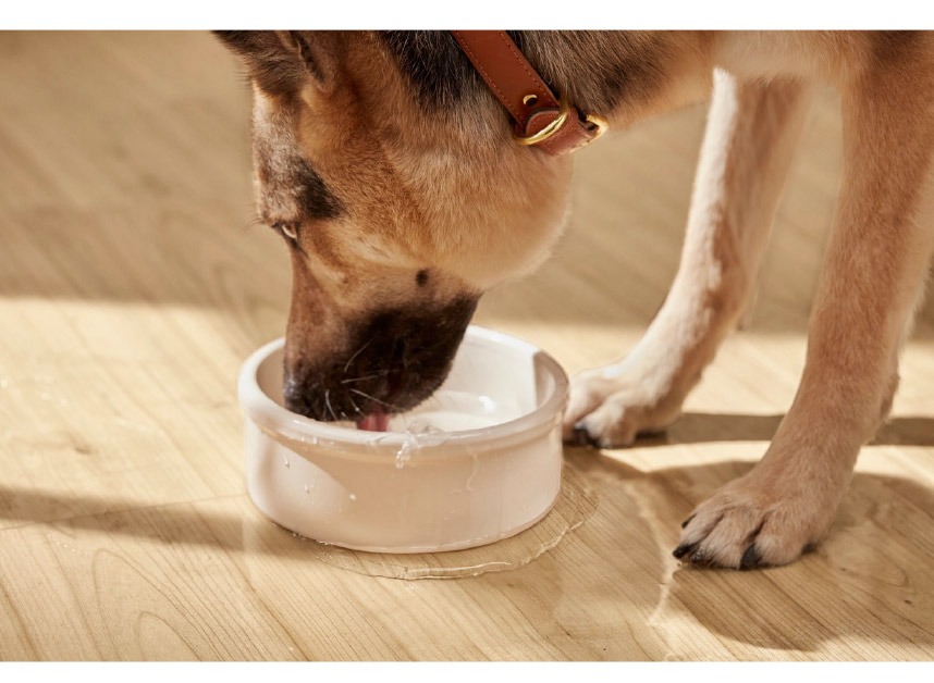 Waterproof Properties