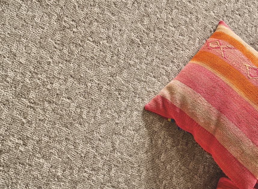 Medium Tone carpet Color