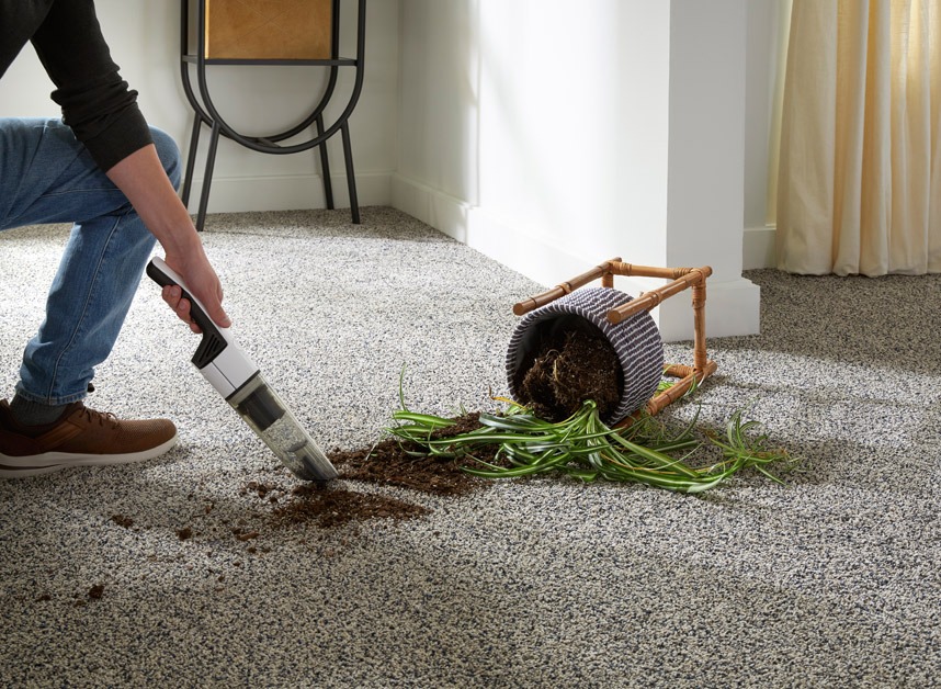 Pet Carpet Cleaning