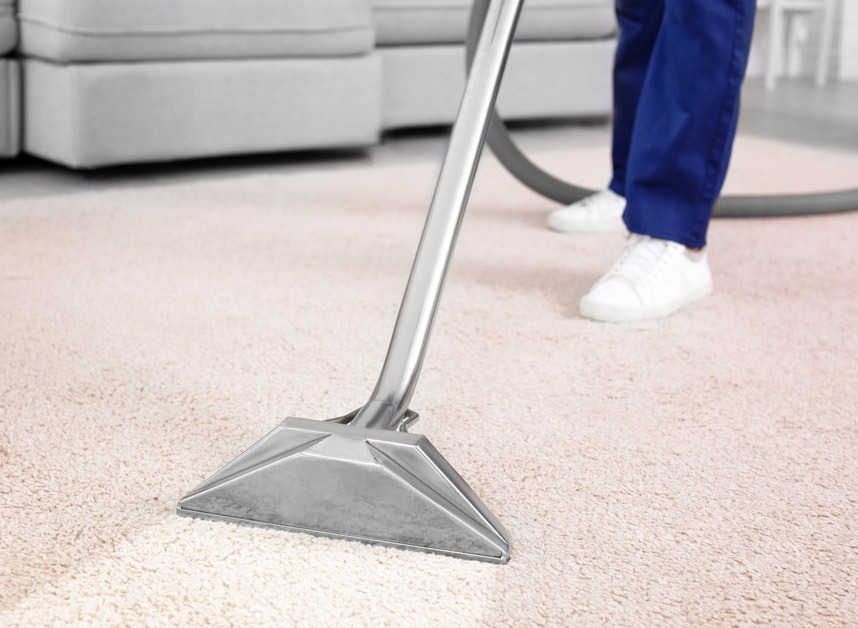 Pet Carpet Steam Clean