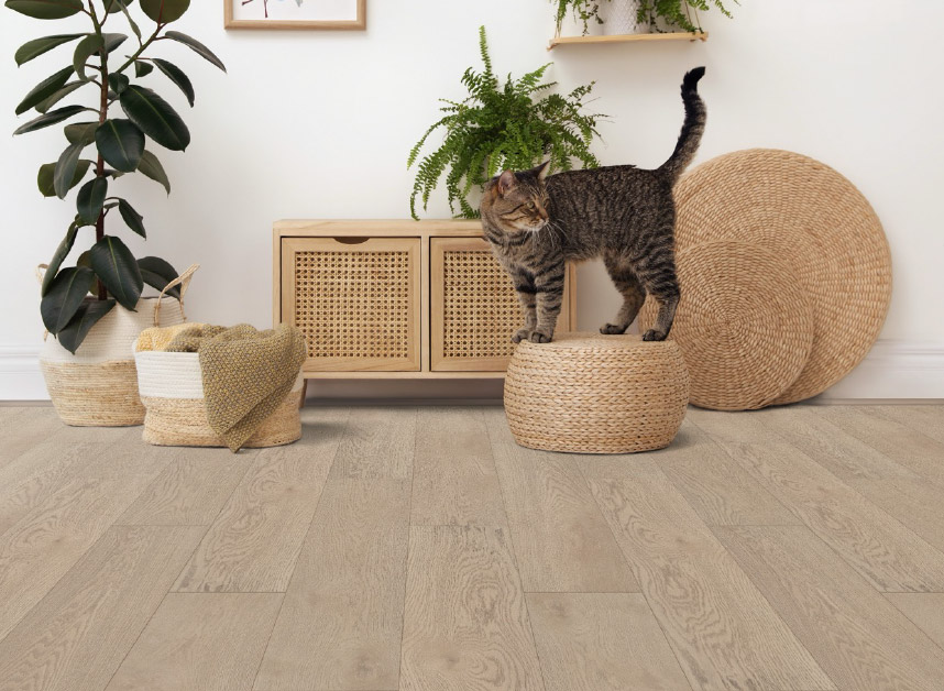 Recommended Applications