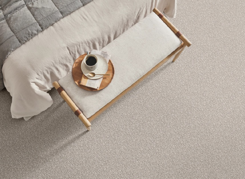 Bed Room Pet Carpet