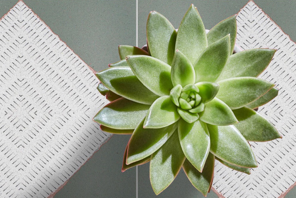 Sustainable tile choices