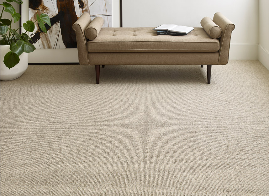 Living Room Pet Carpet