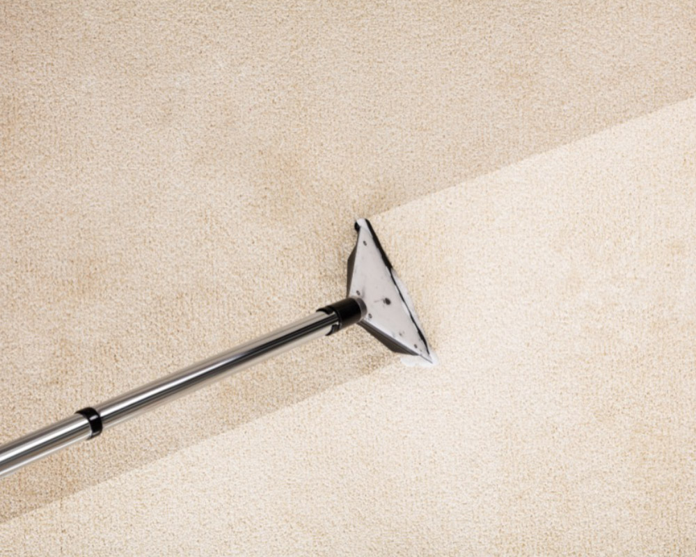 Prolong your carpets life
