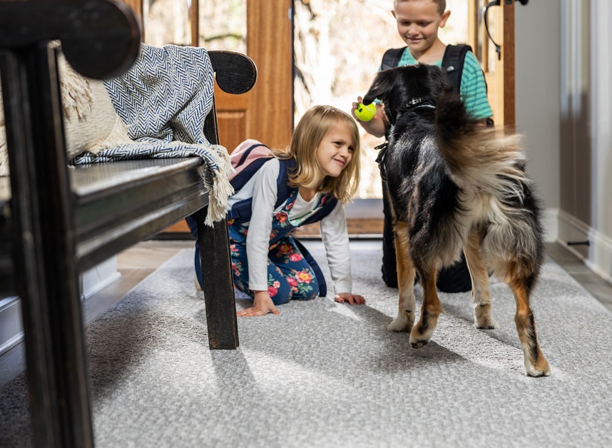 Foyer Pet Carpet