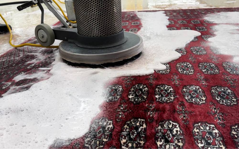Deep Clean Your Rug by Material Type