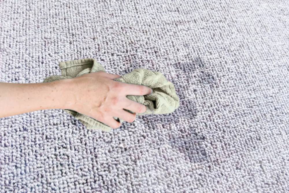 Rinse and Dry the Rug Properly