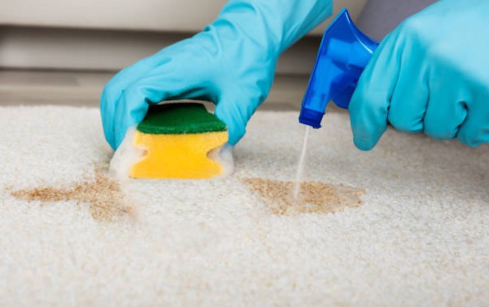 Carpet Cleaning