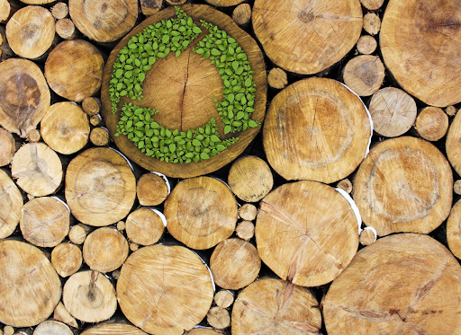 The Ultimate Guide to Hardwood Flooring